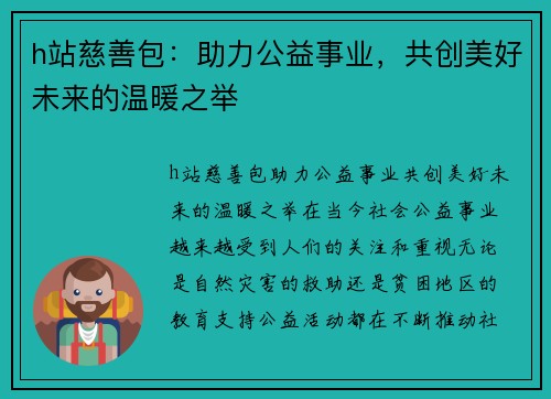 h站慈善包：助力公益事业，共创美好未来的温暖之举